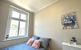 Mmrent Flora Room